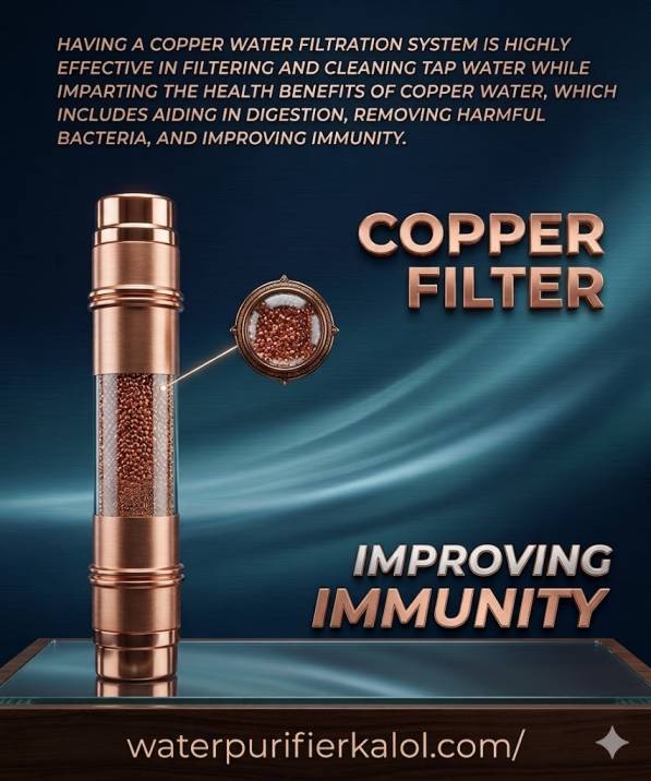 Aqua V5 RO + Alk + Copper + Zinc + TDS Controller Water Purifier Kalol - Image 3